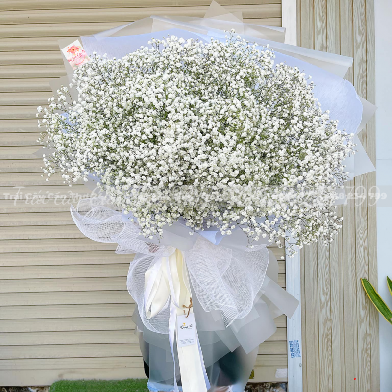 Đoá hoa chúc mừng