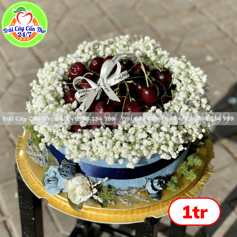 Hộp quà tặng MS7